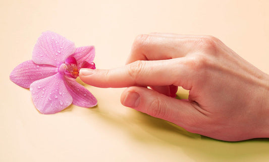 The Anatomy of Ecstasy: Clitoral vs G-Spot Orgasms Uncovered